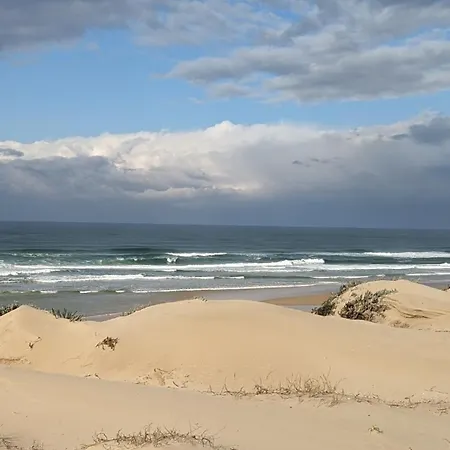 La Gemmeuse * Aureilhan (Landes)