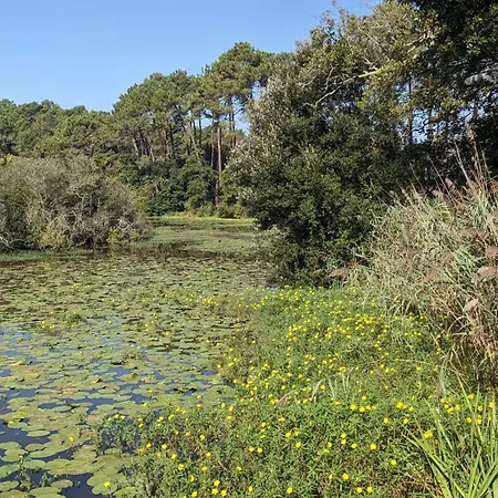 La Gemmeuse Aureilhan (Landes)